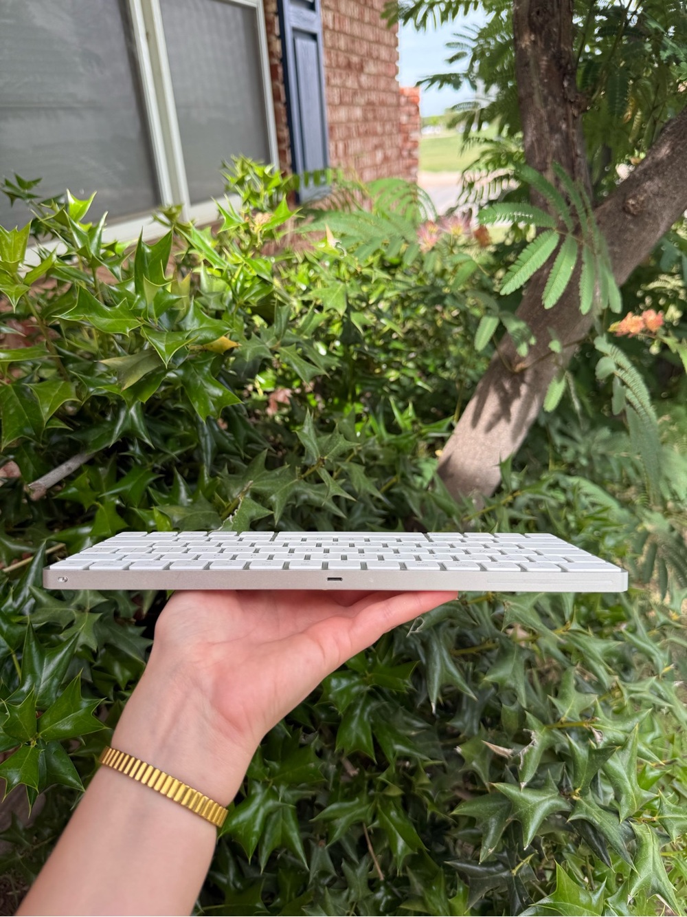Apple Magic Keyboard - Picture 4 of 5